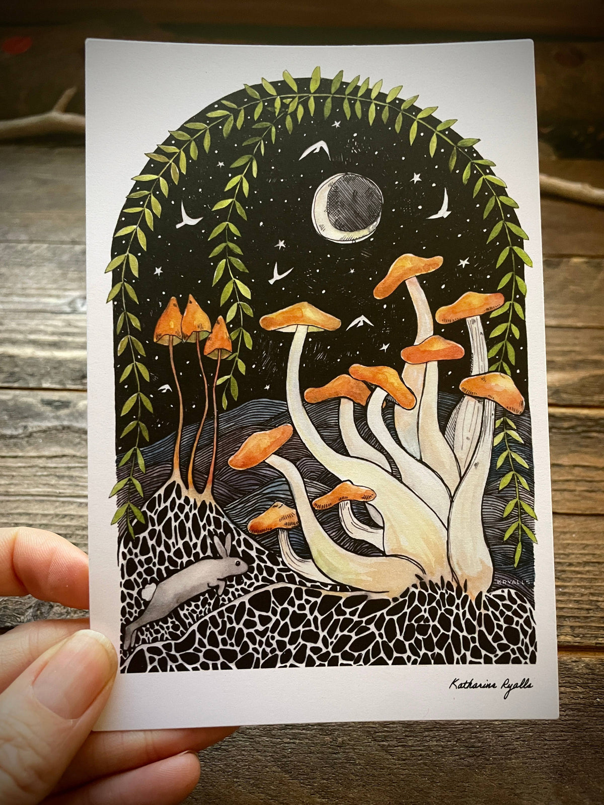 Honey Mushrooms Post Card