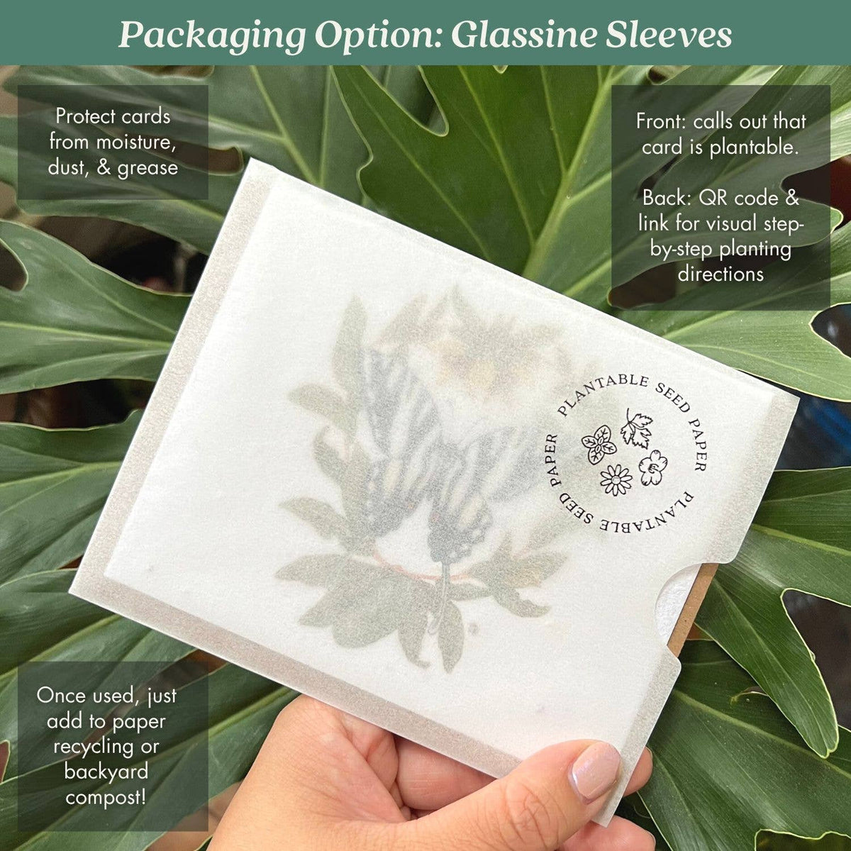 Opossum Stockings Plantable Wildflower Seed Card