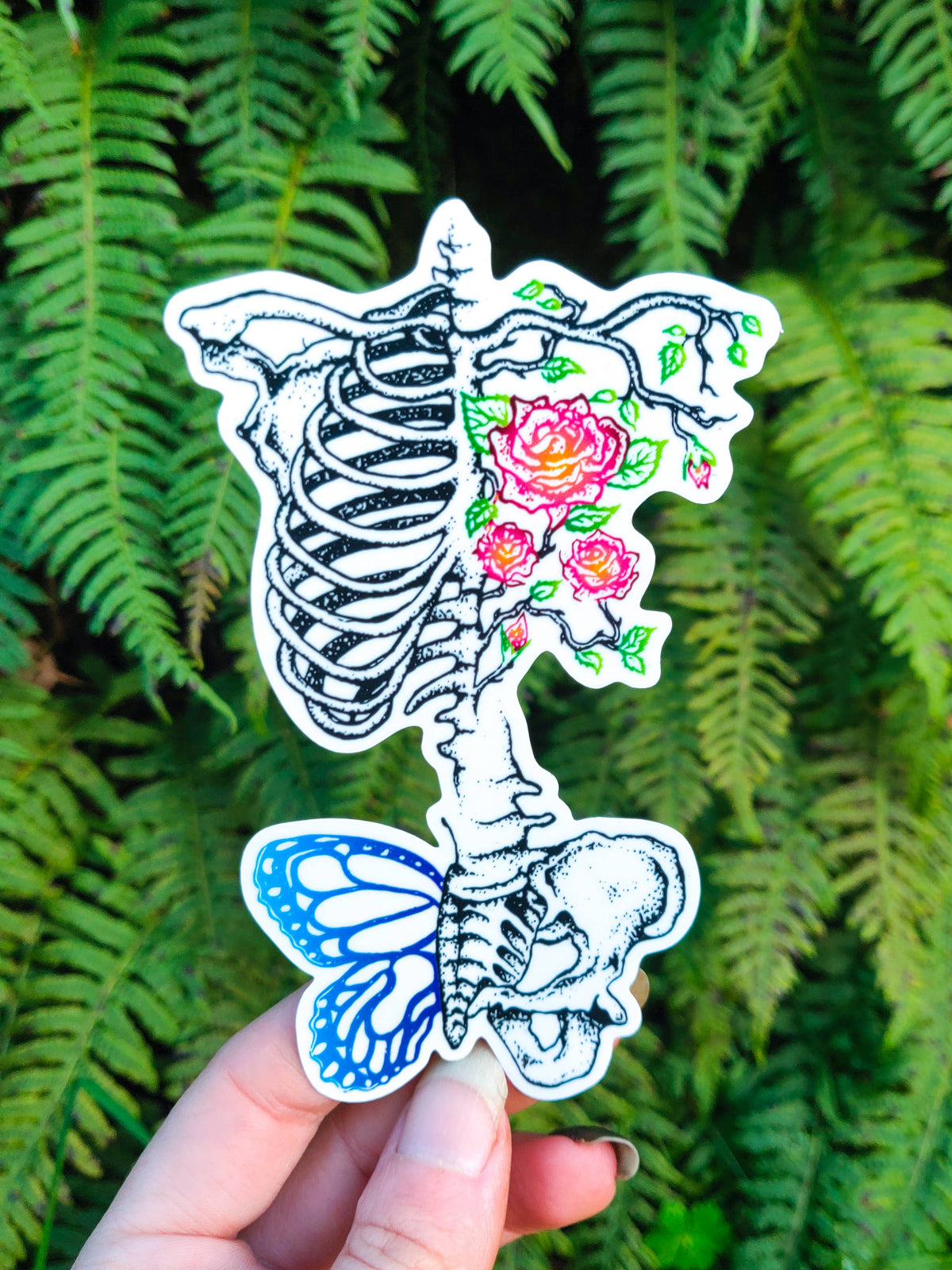 Synthesis - Vinyl Sticker Art - Nature Skeleton Floral Butterfly Nurse Health Skull Watercolor