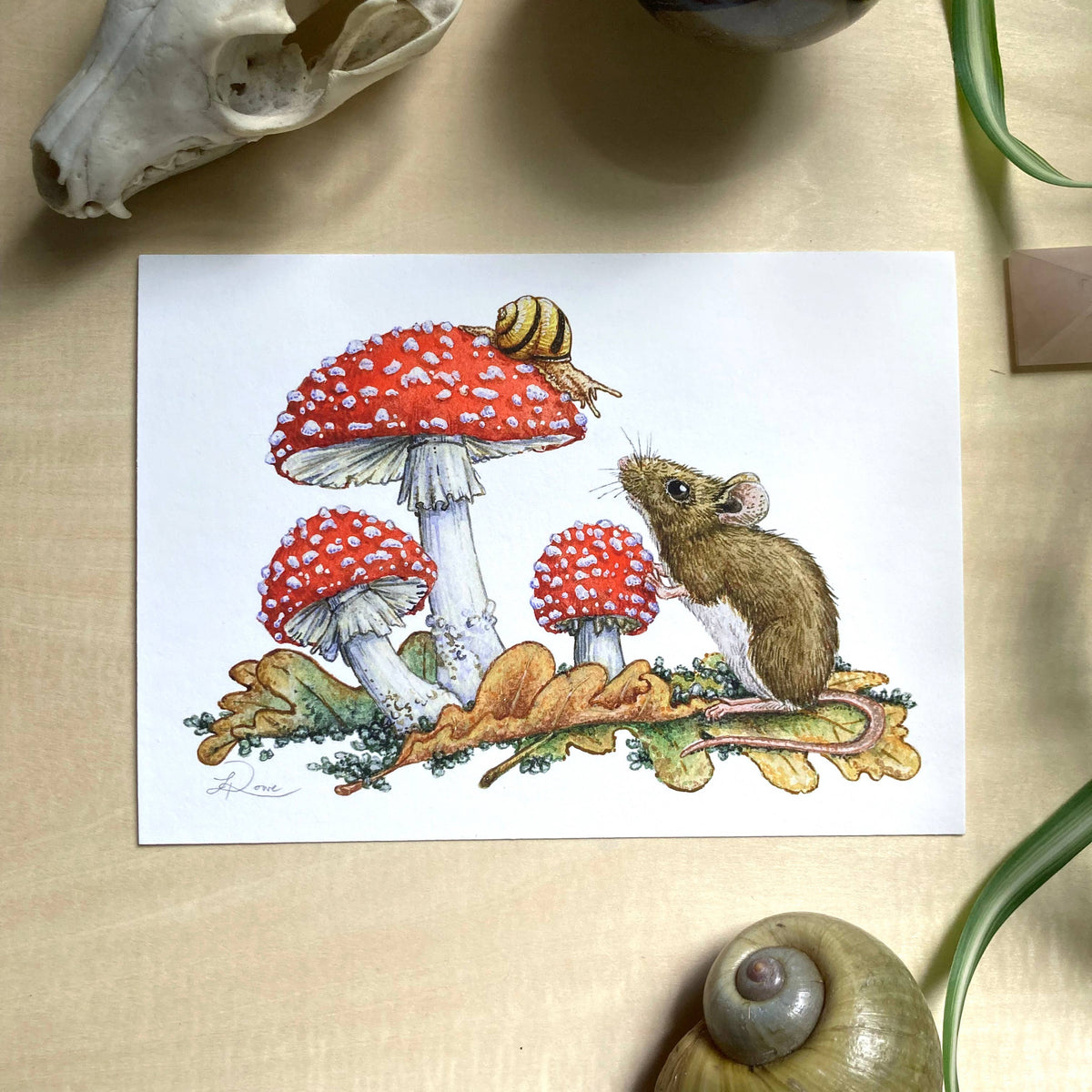 Field Mouse, Snail, Fly Agaric Giclee Print