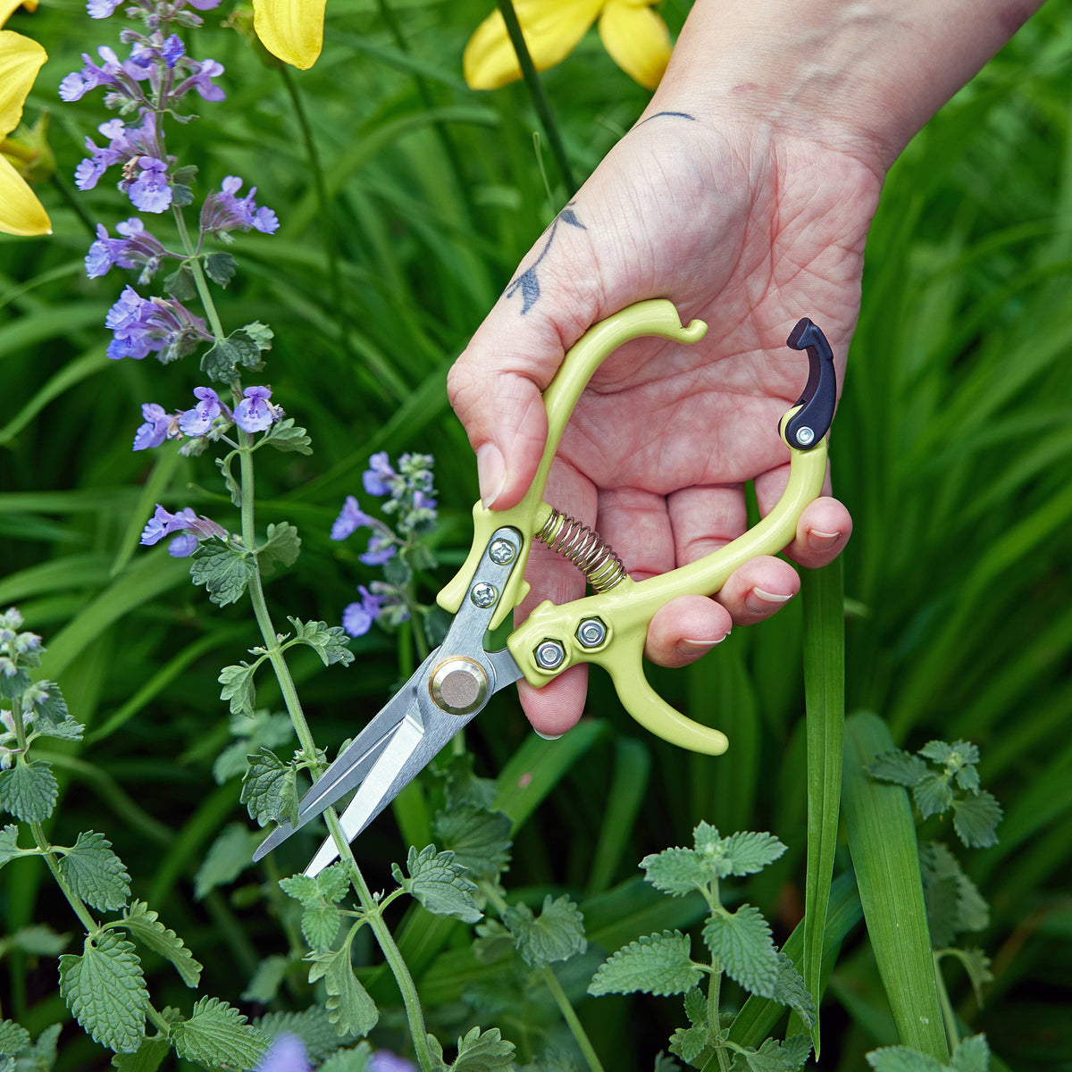 Garden Shears : Lavender