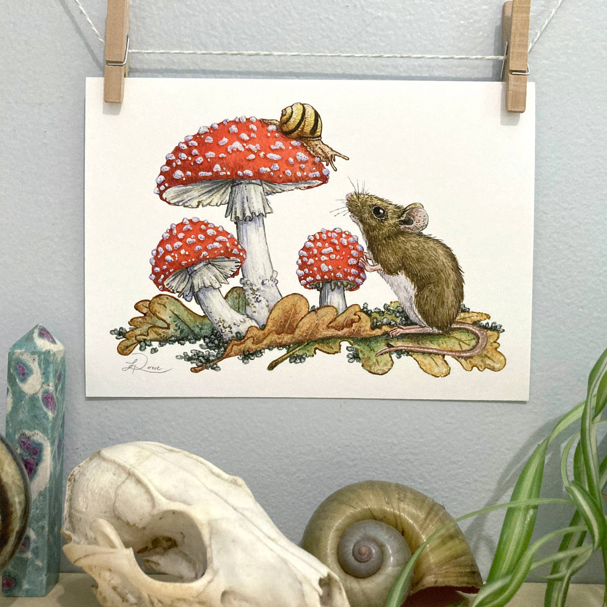 Field Mouse, Snail, Fly Agaric Giclee Print