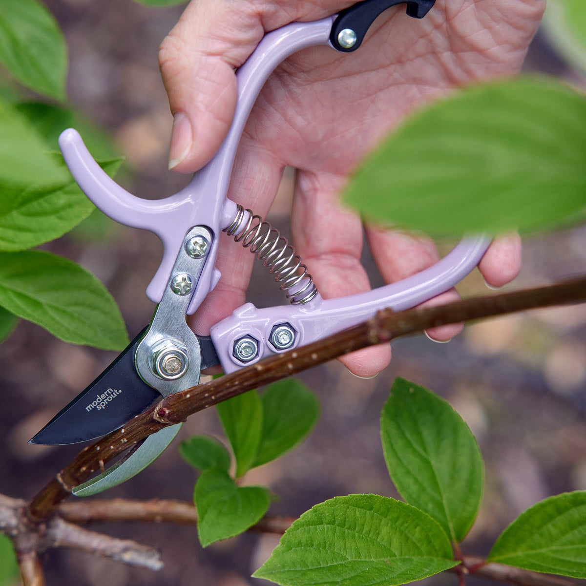 Garden Pruners: Chartreuse