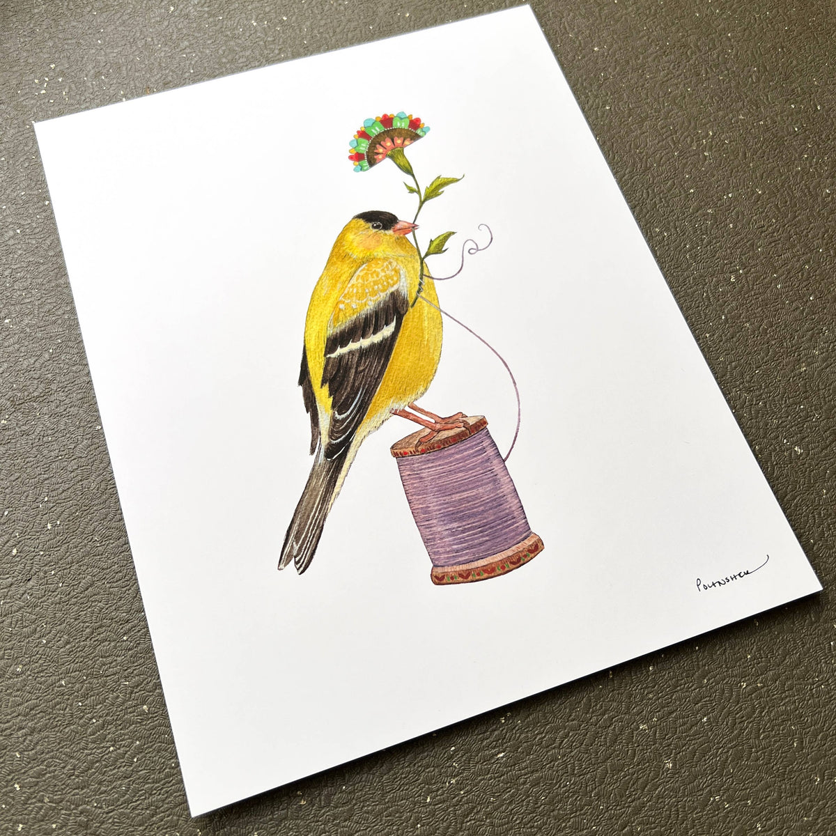 Floral Finch (8&quot; x 10&quot; Print)