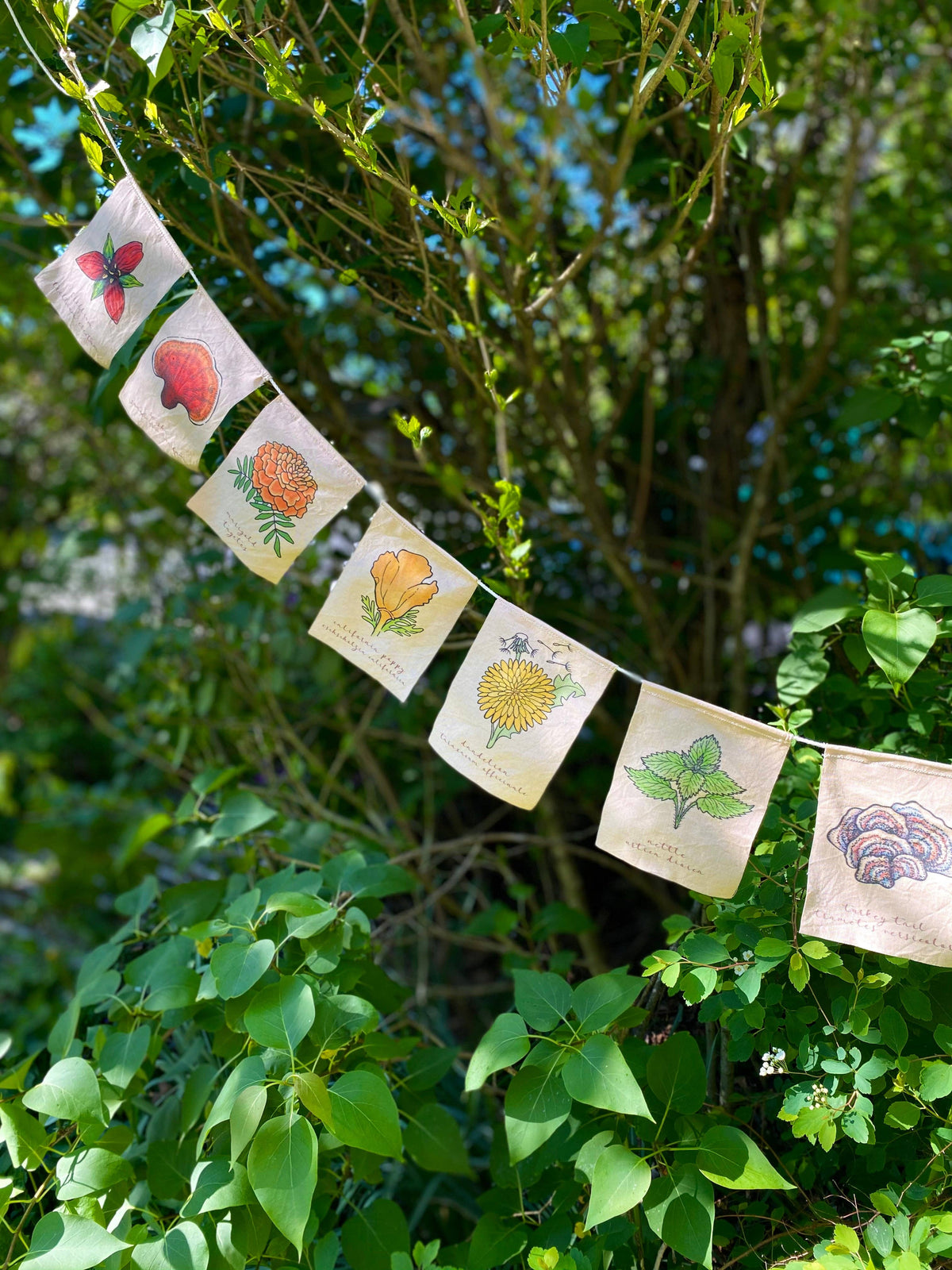 Rainbow Herbs Prayer Flag (White)