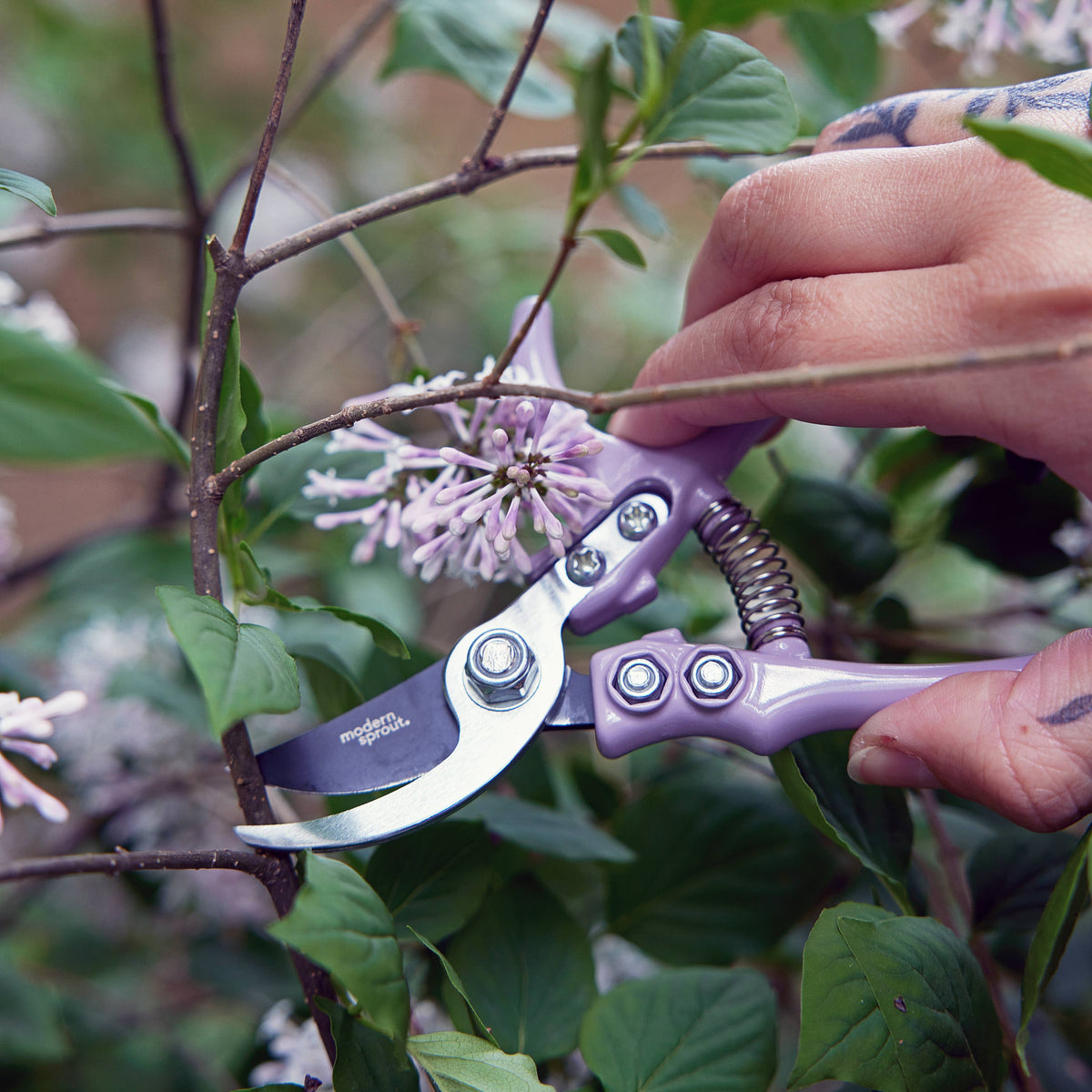 Garden Pruners: Lavender