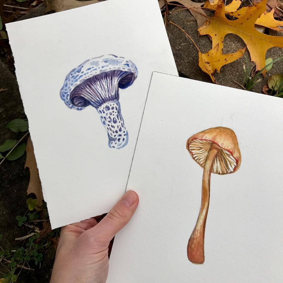 Wild Mushrooms Watercolor Art Print