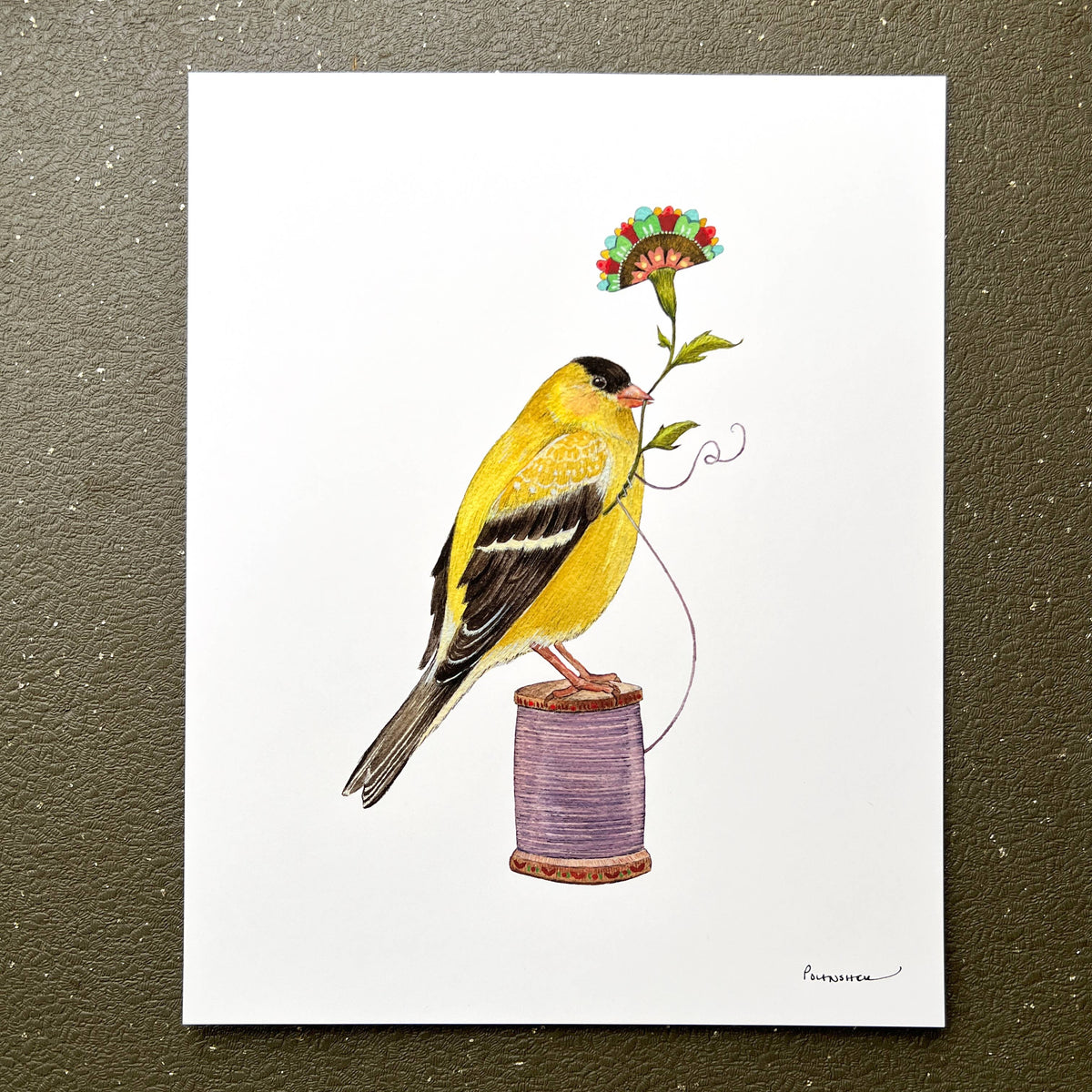 Floral Finch (8&quot; x 10&quot; Print)