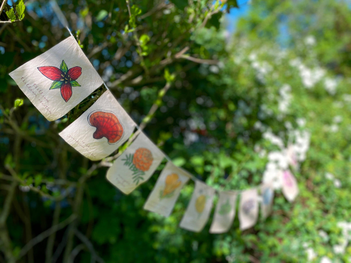 Rainbow Herbs Prayer Flag (White)