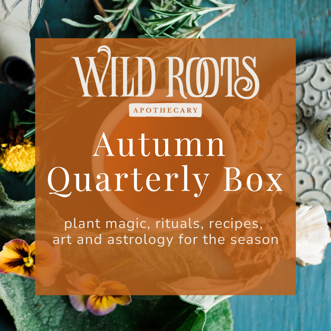 Wild + Rooted Collective: Quarterly Autumn Box