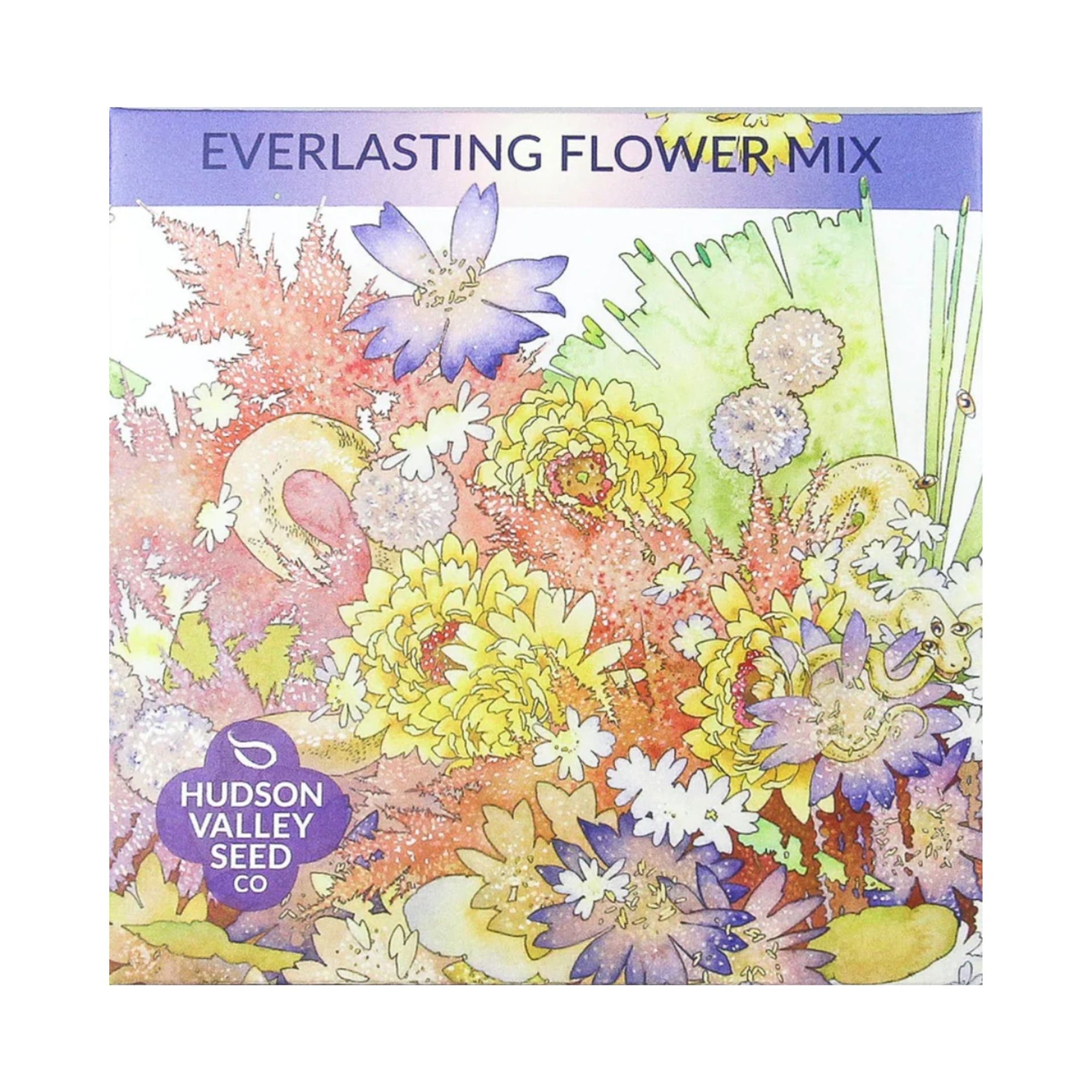 Everlasting Flower Seed Mix