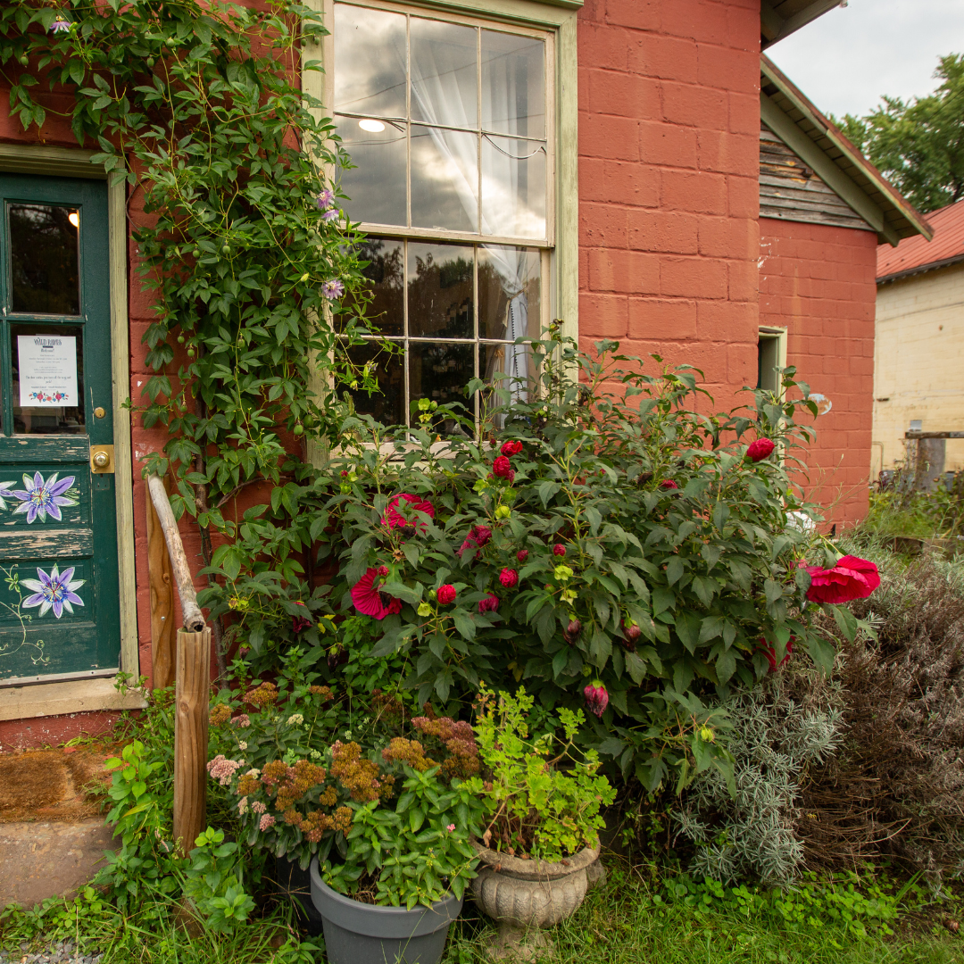 2025 Spring Equinox Community Gathering