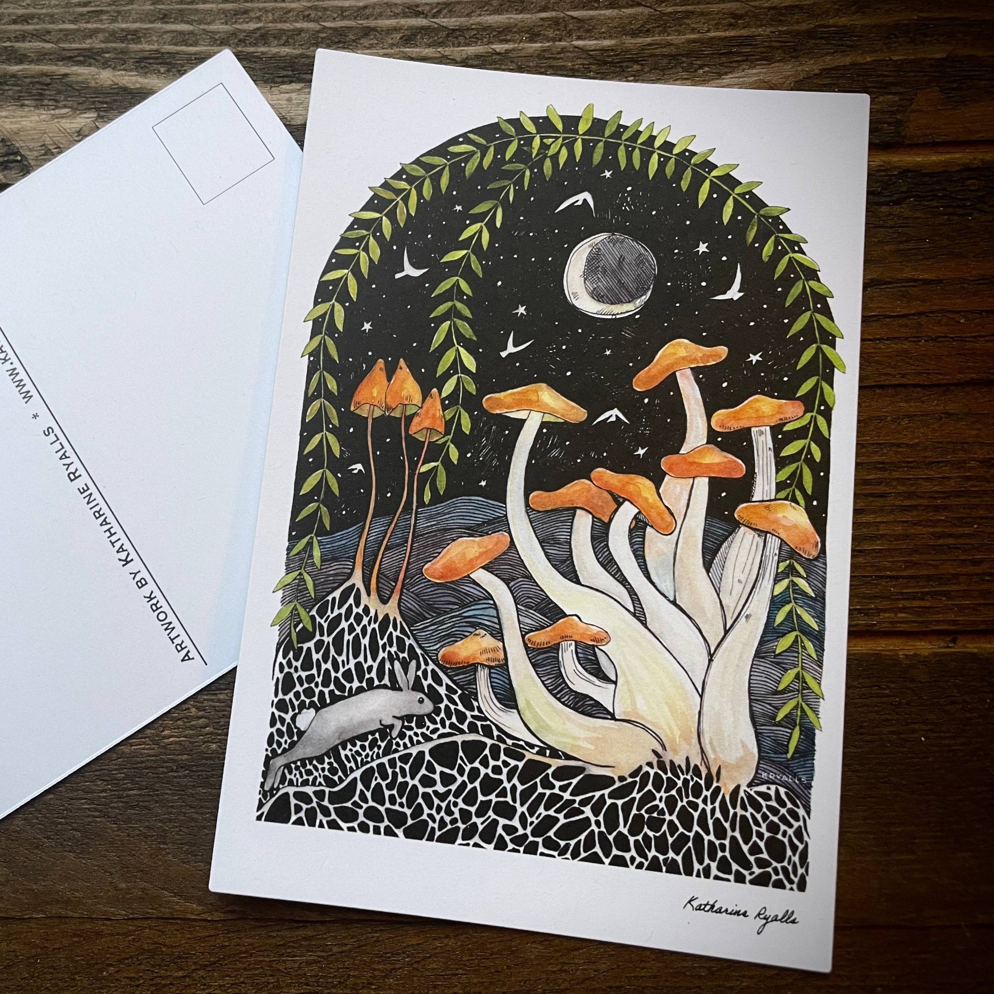 Honey Mushrooms Postcard