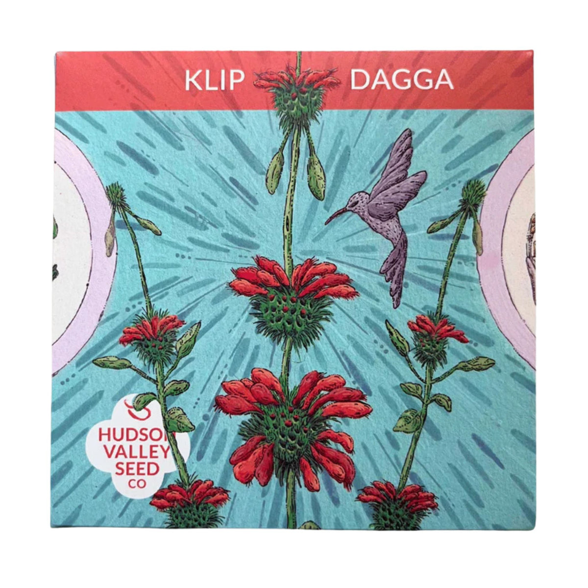 Klip Dagga Seeds