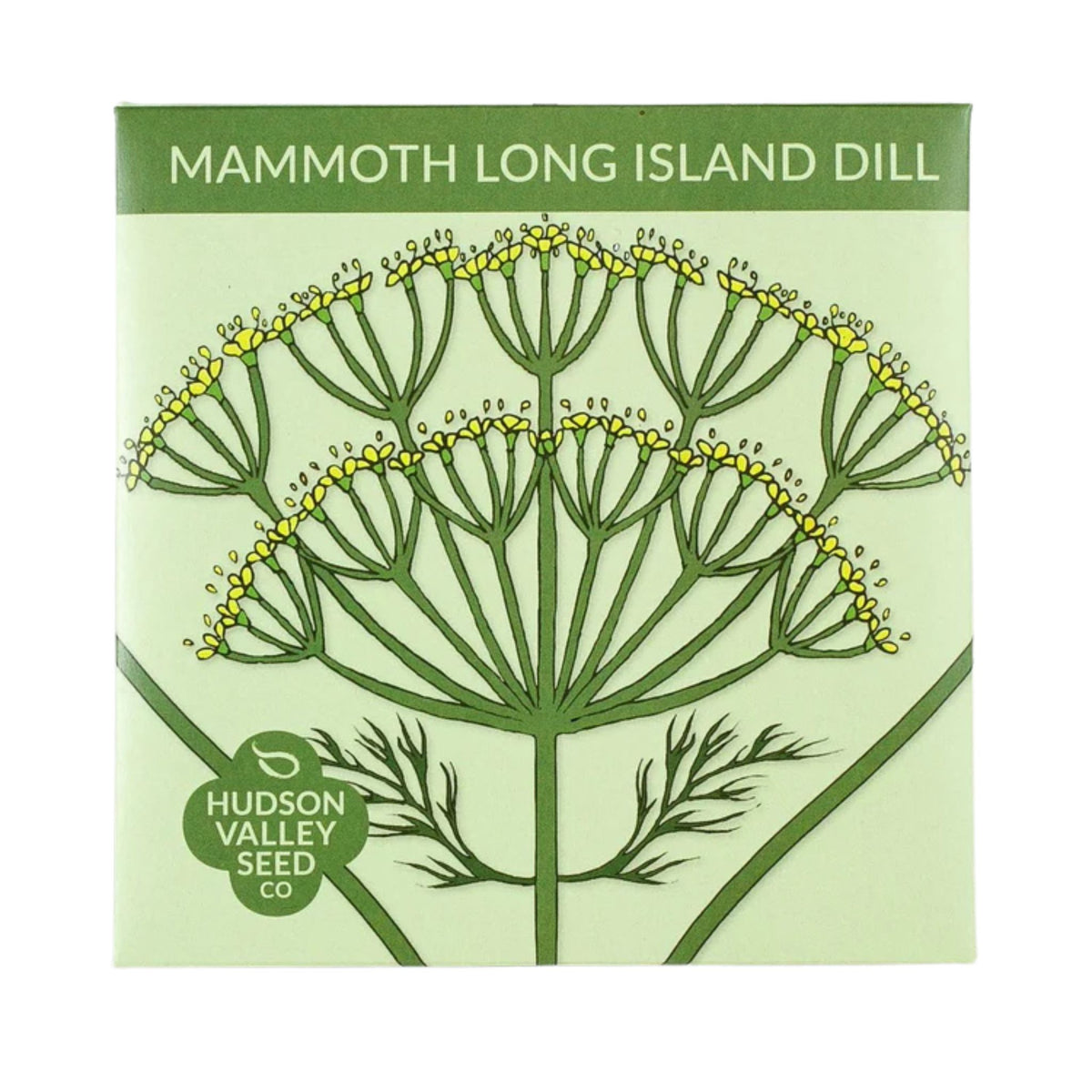 Mammoth Long Island Dill Seeds