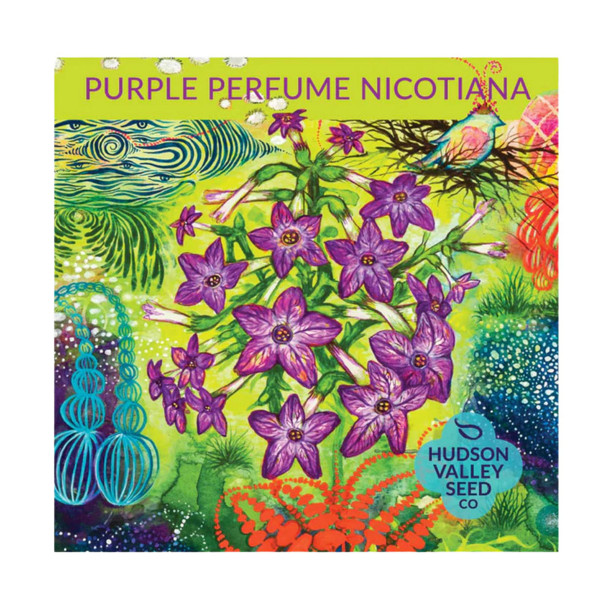 Purple Perfume Nicotiana Seeds