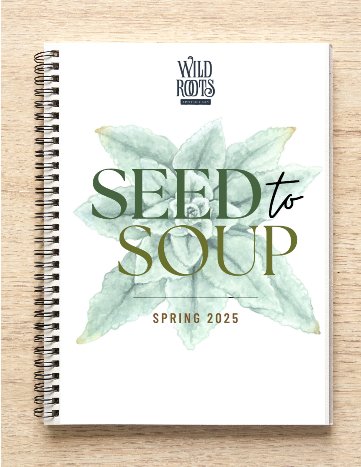 Seed to Soup - Spring workbook