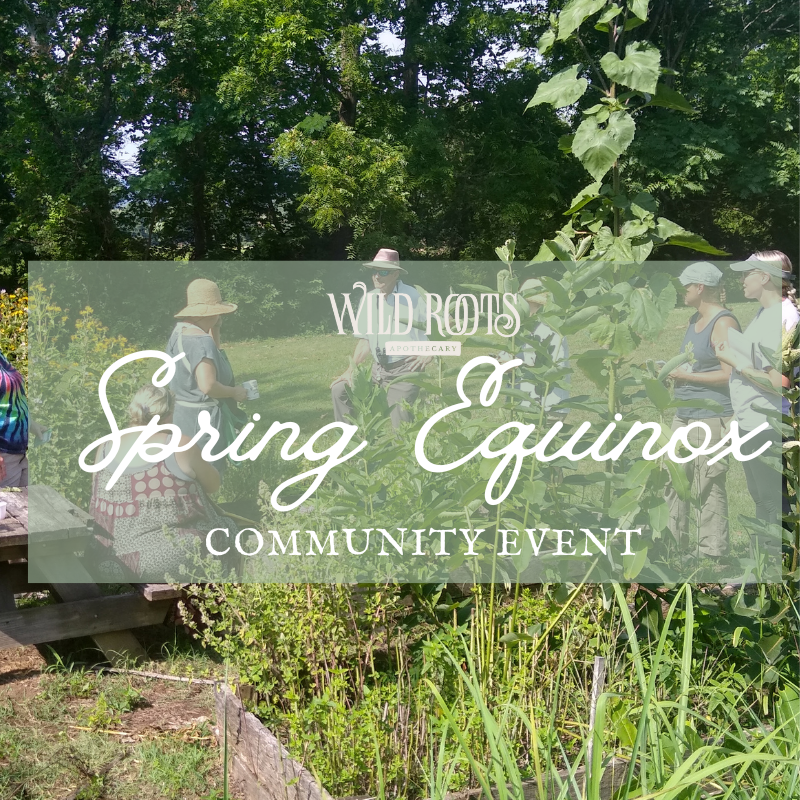 2025 Spring Equinox Community Gathering