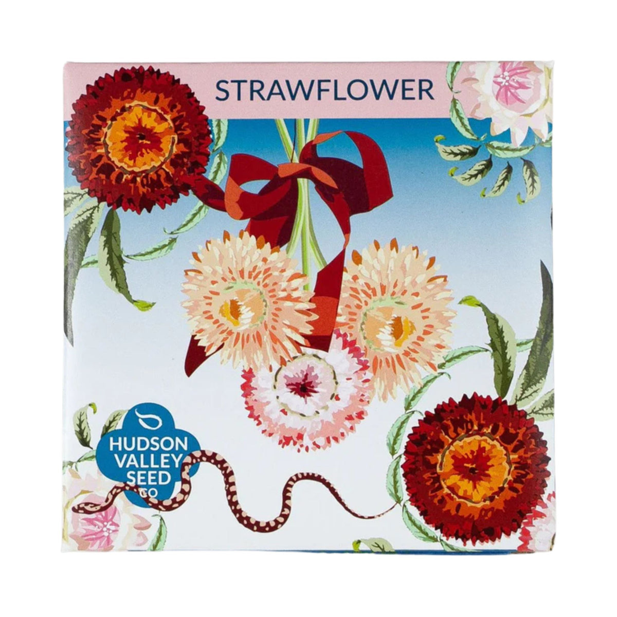 Strawflower Seeds