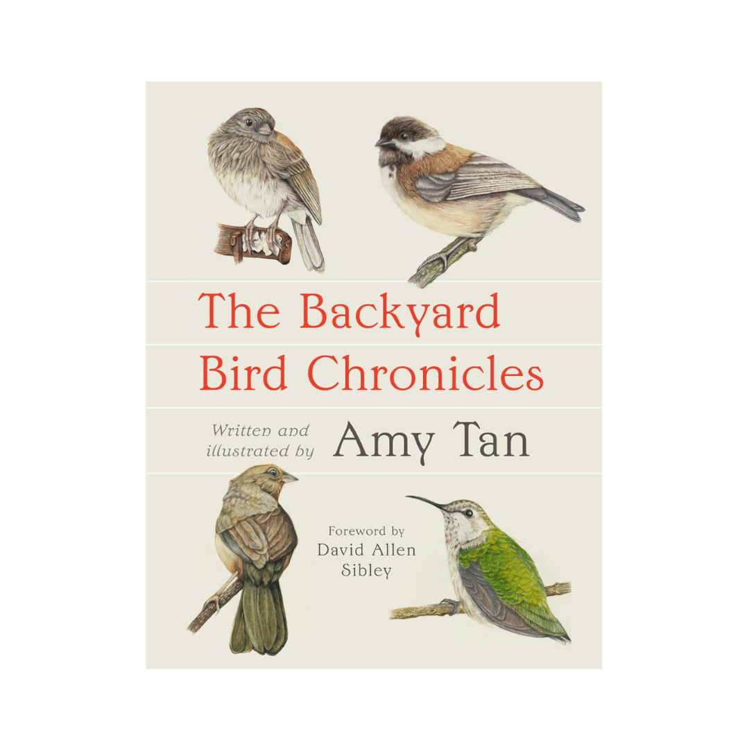 The Backyard Bird Chronicles