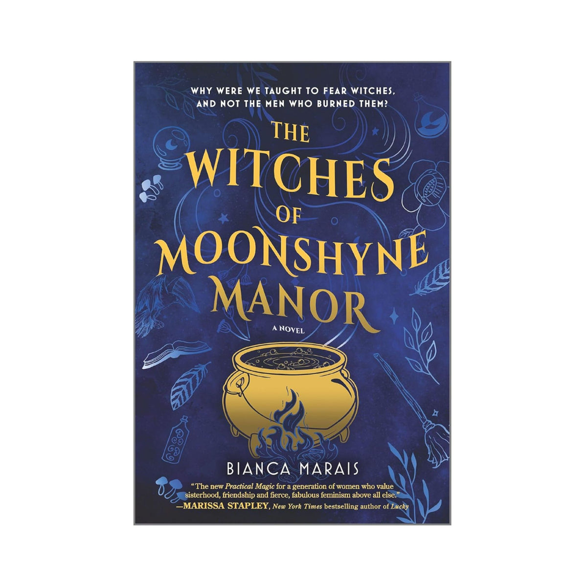 The Witches of Moonshyne Manor