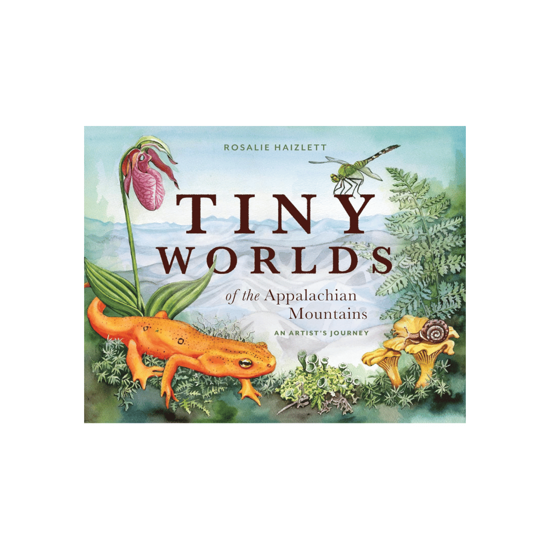 Tiny Worlds of the Appalachian Mountains