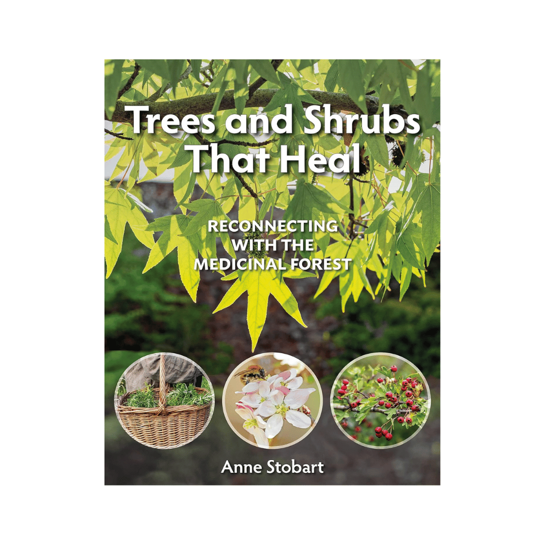 Trees and Shrubs that Heal: Recconecting with the Medicinal Forest