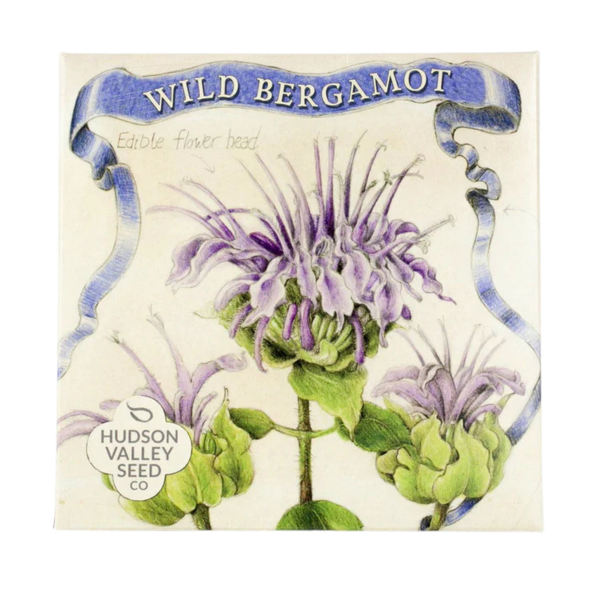 Wild Bergamot Seeds