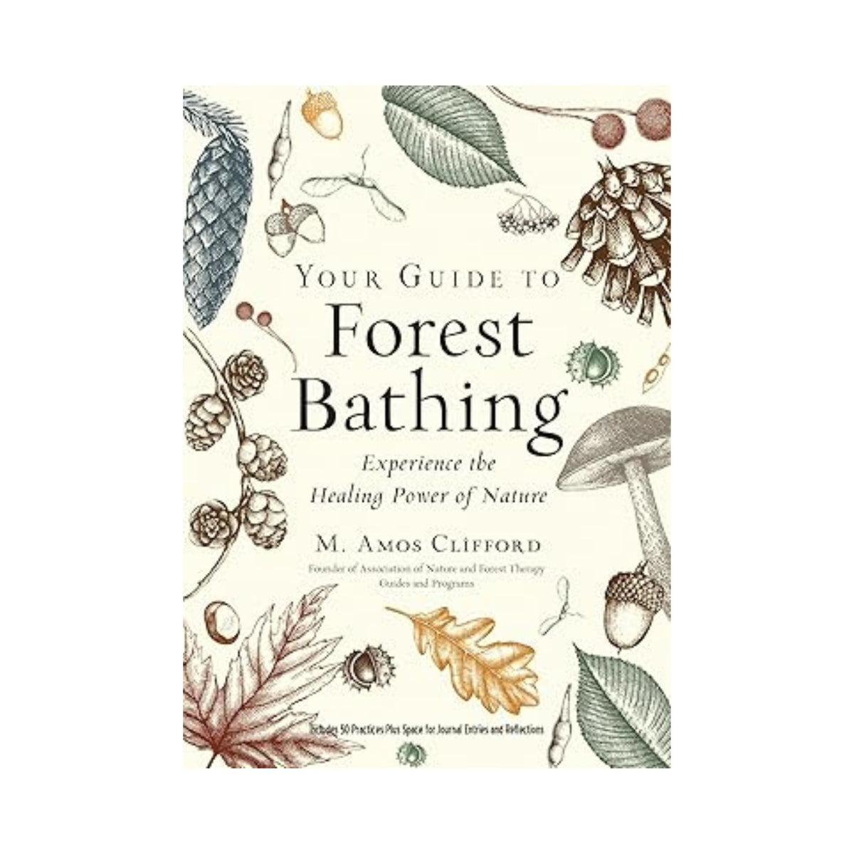 Your Guide to Forest Bathing: Experience the Healing Power of Nature