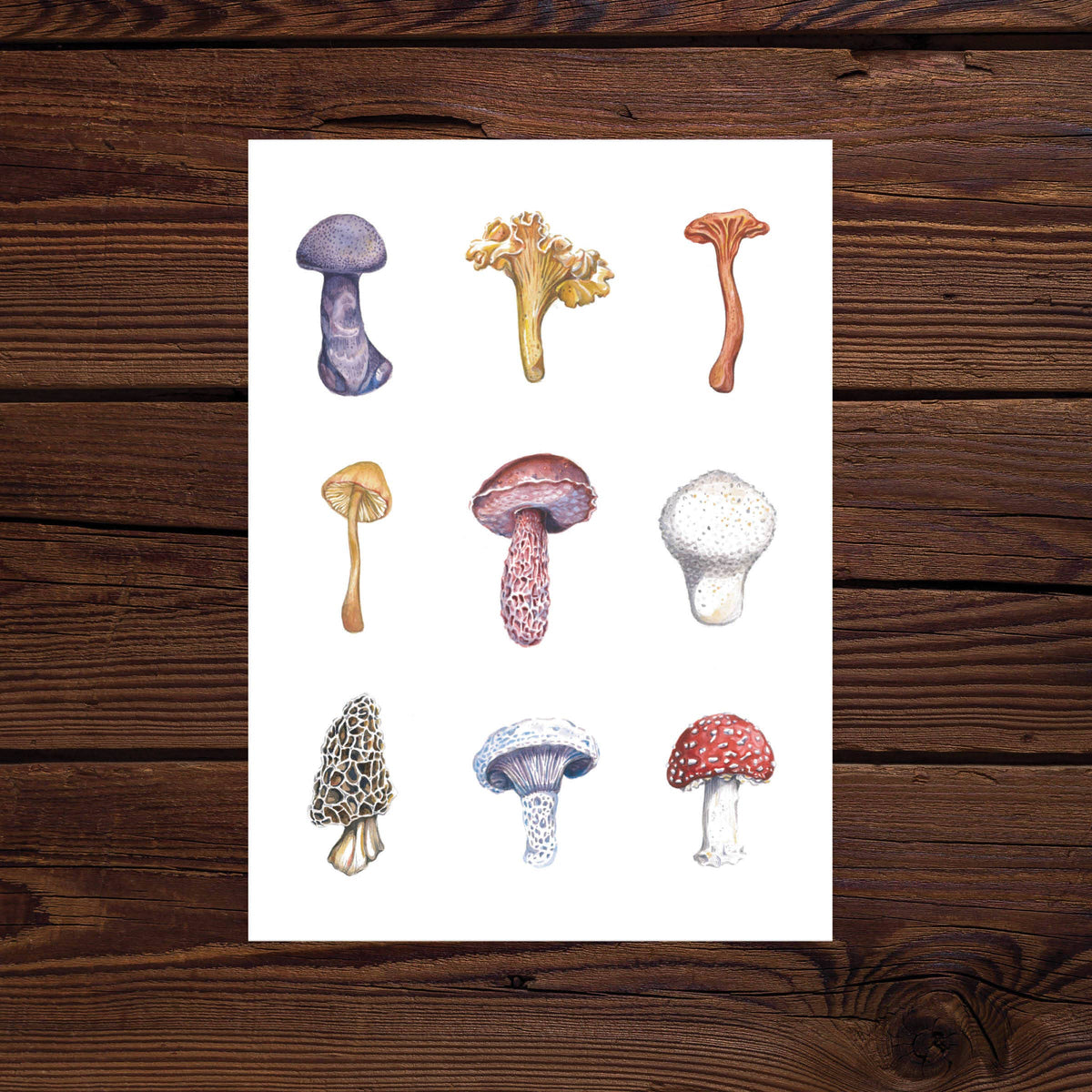 Wild Mushrooms Watercolor Art Print