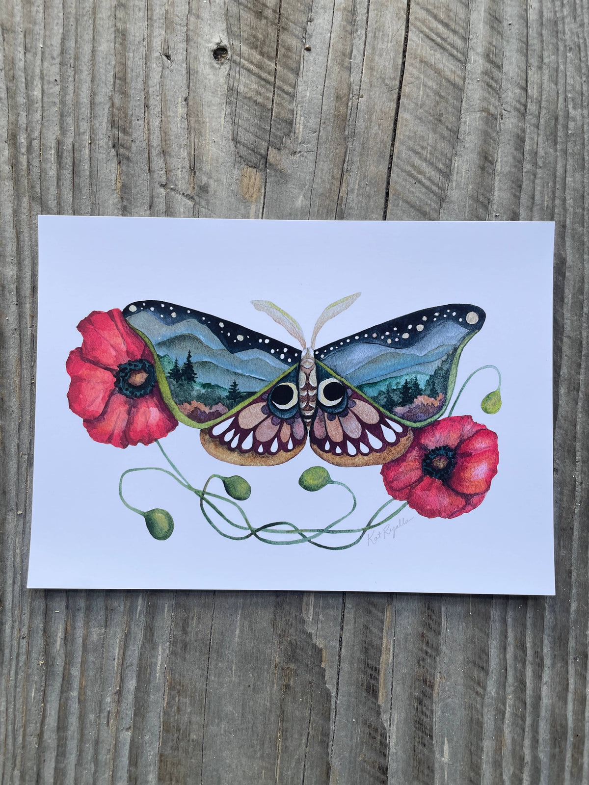 Wings and Poppies Butterfly Print: 11x14&quot;