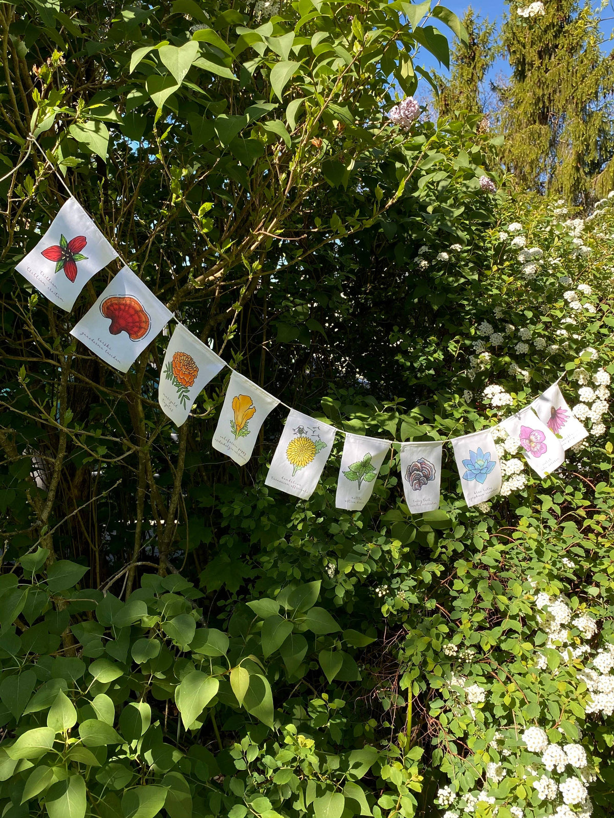 Rainbow Herbs Prayer Flag (White)