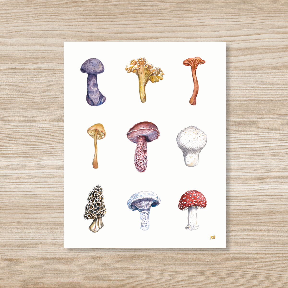 Wild Mushrooms Watercolor Art Print