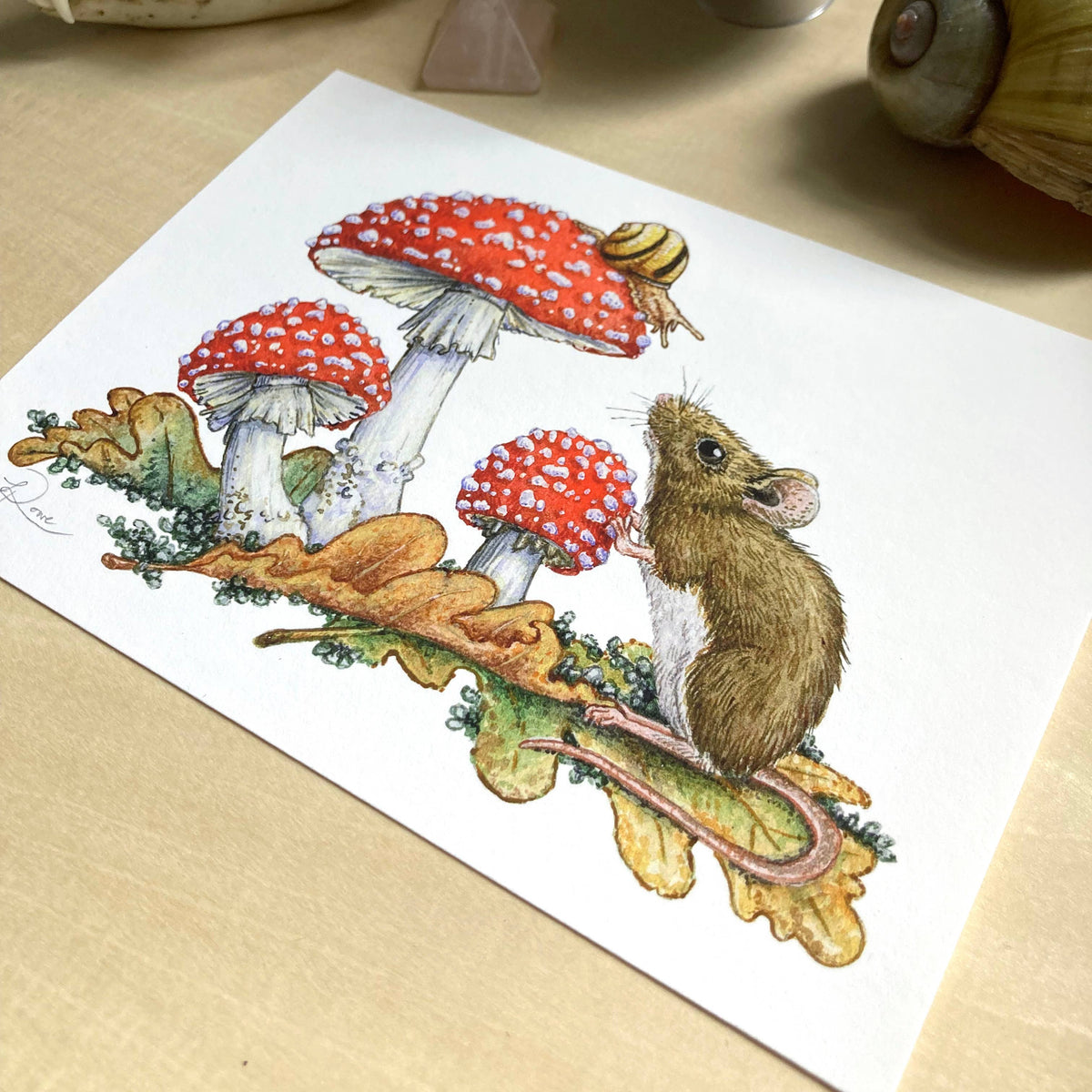 Field Mouse, Snail, Fly Agaric Giclee Print