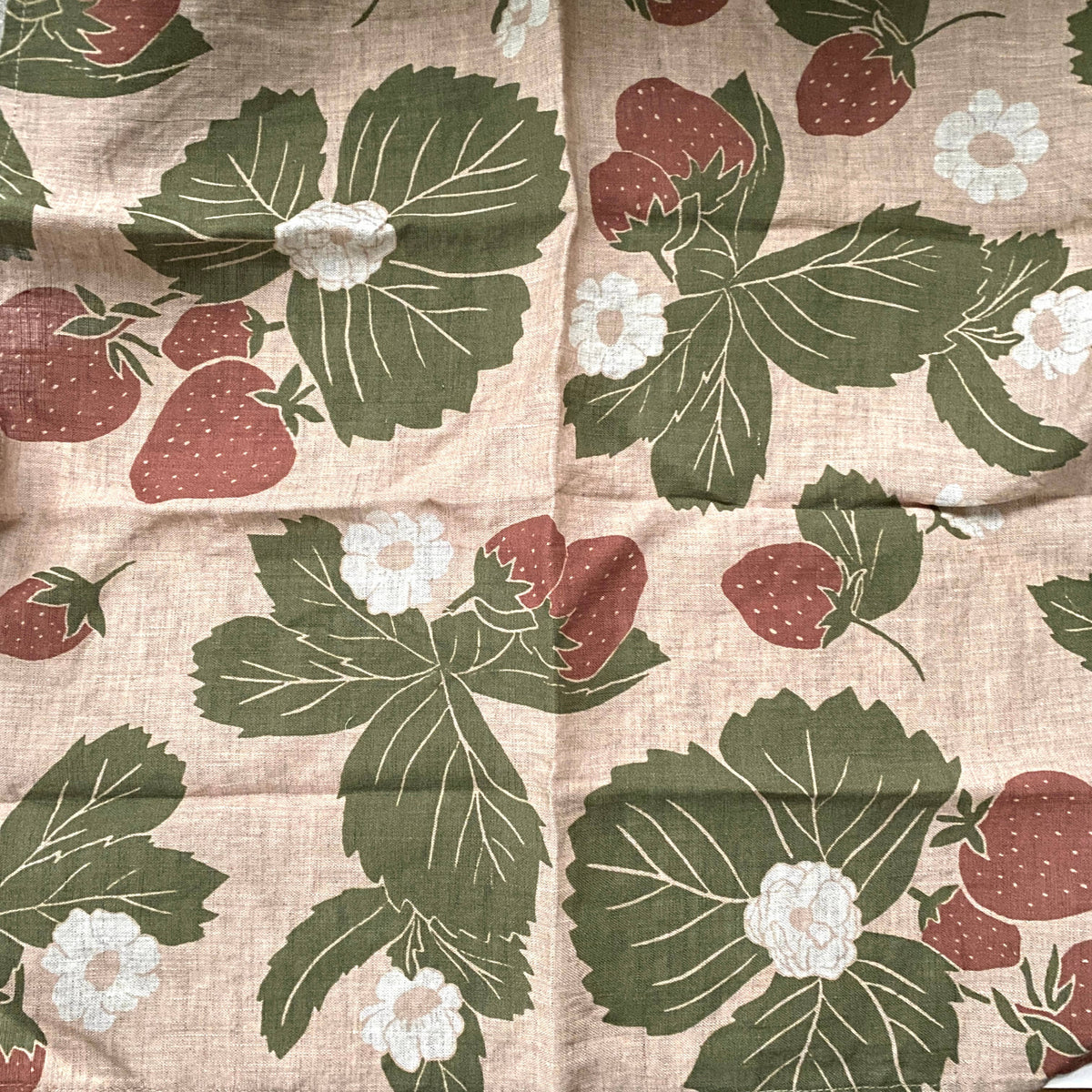 Strawberry Linen Napkins (Set of 2)