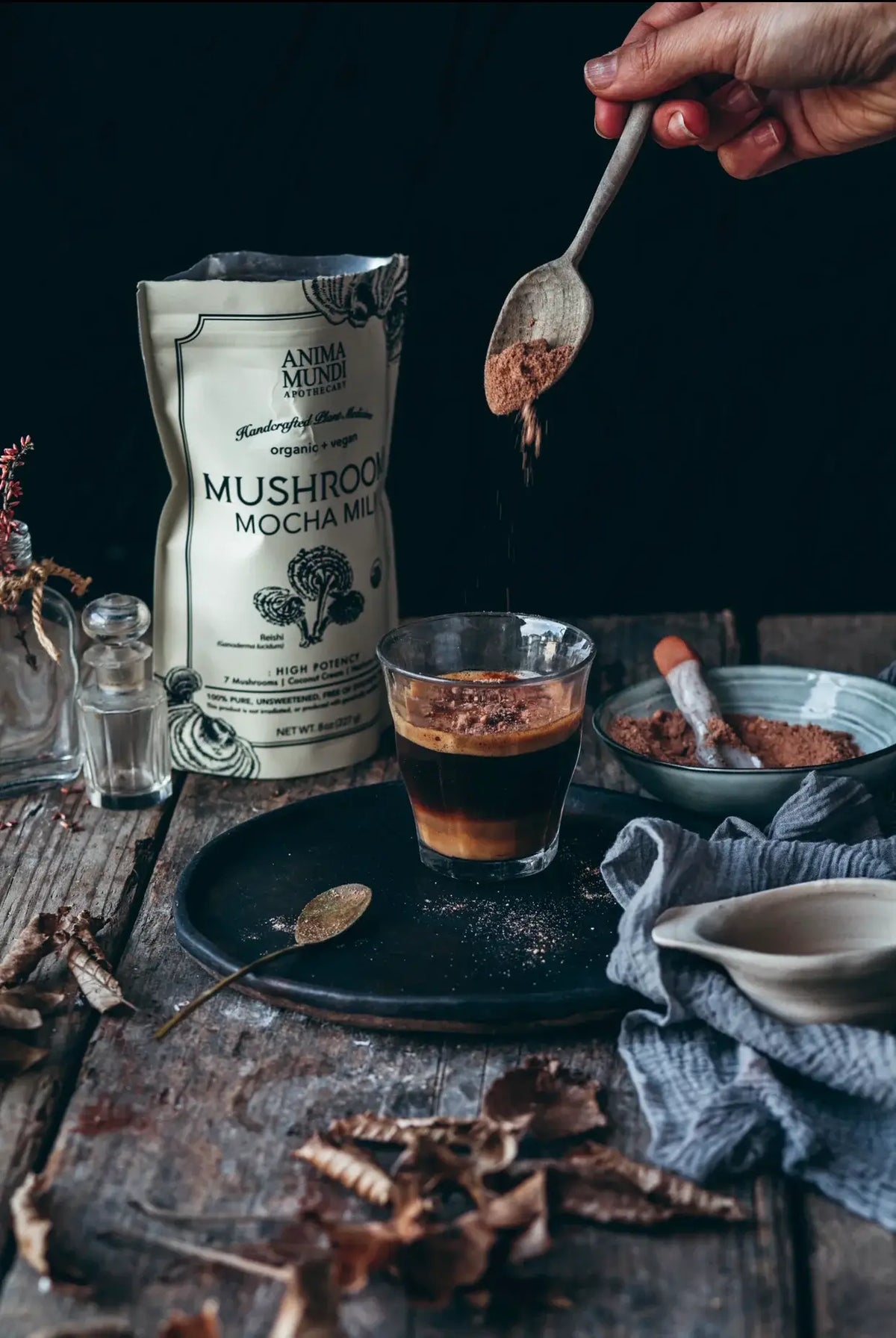 MUSHROOM MOCHA MILK | Longevity Milk