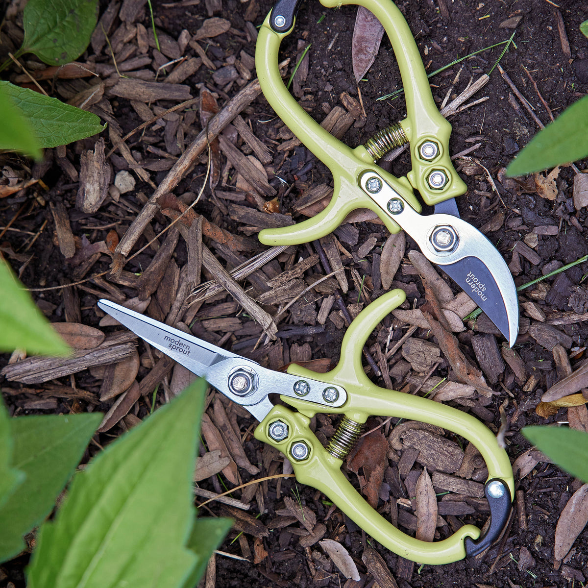 Garden Shears : Lavender