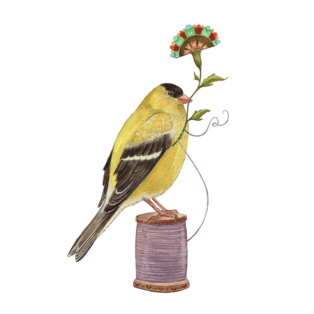 Floral Finch (8&quot; x 10&quot; Print)