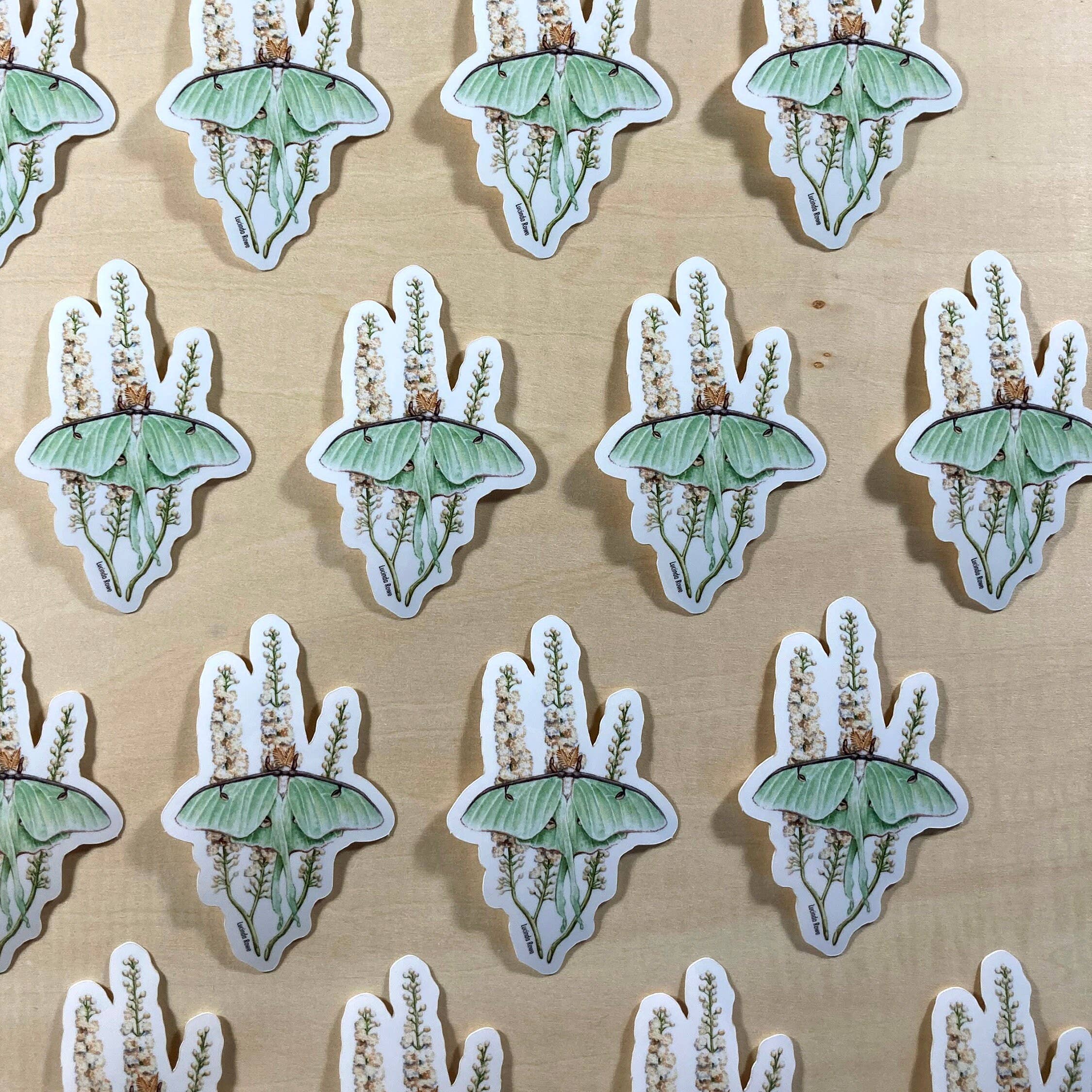 Luna Moth Sticker - Wild Roots Apothecary