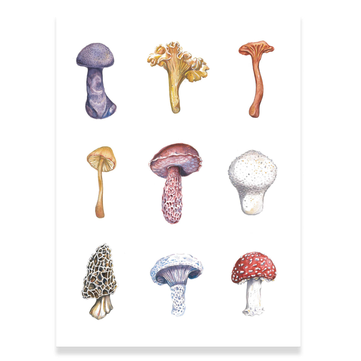 Wild Mushrooms Watercolor Art Print