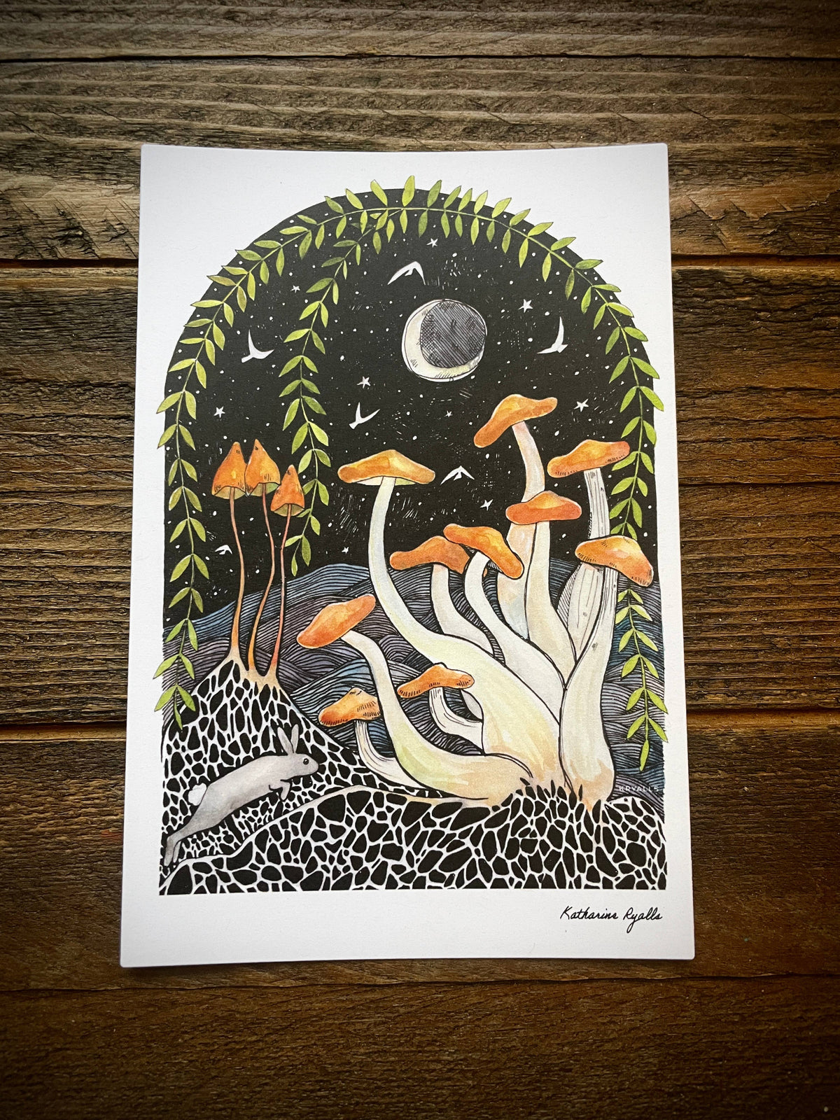 Honey Mushrooms Post Card