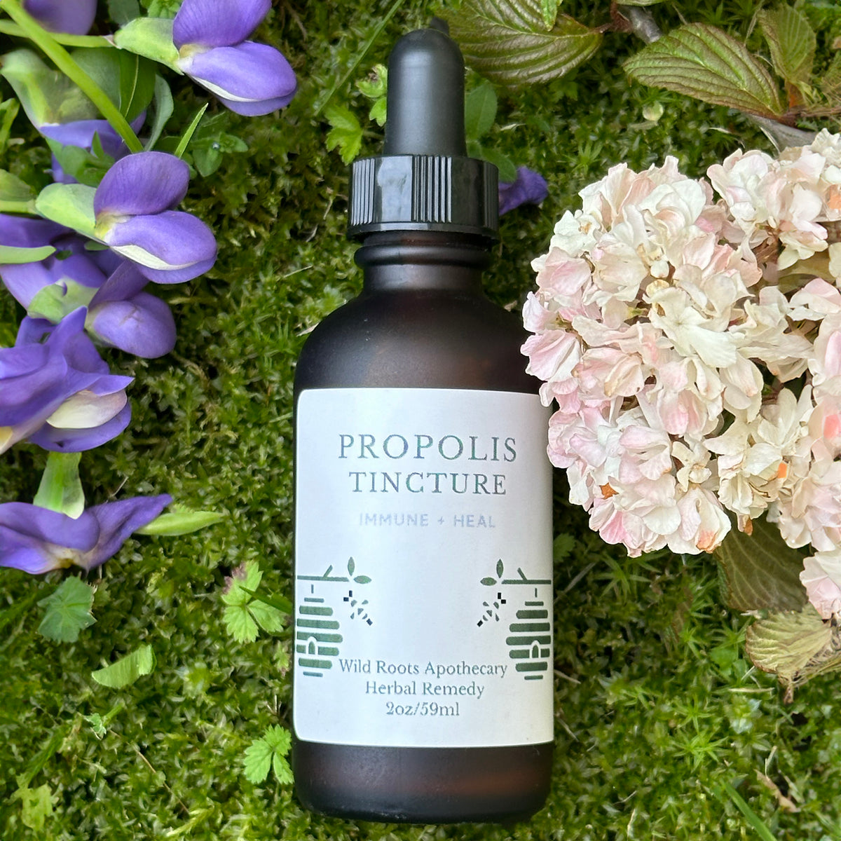 Propolis Tincture