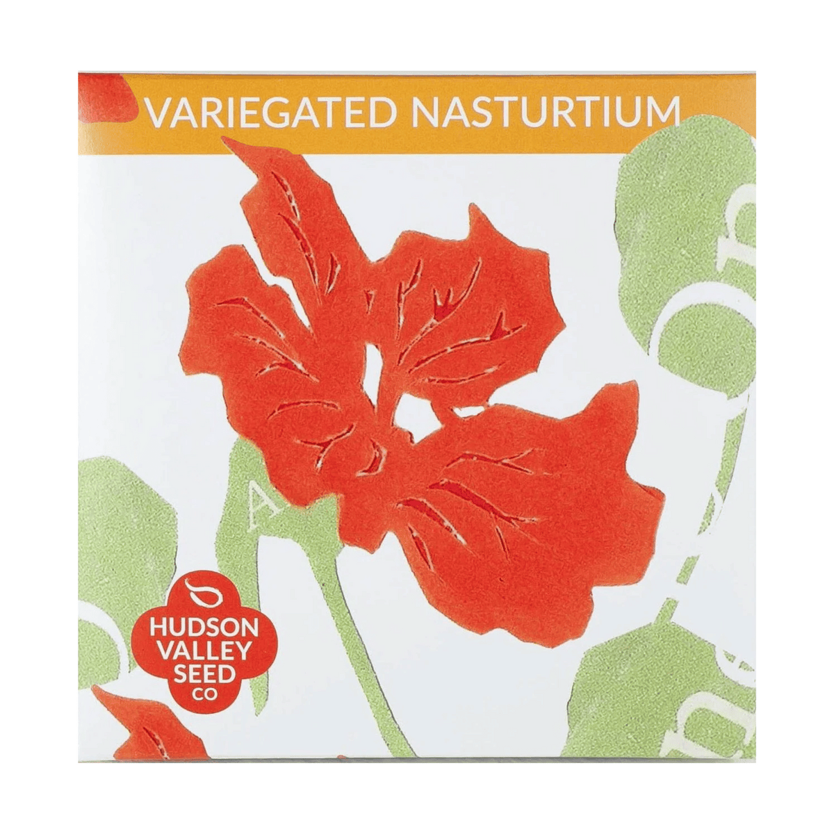 Variegated Nasturtium Seeds
