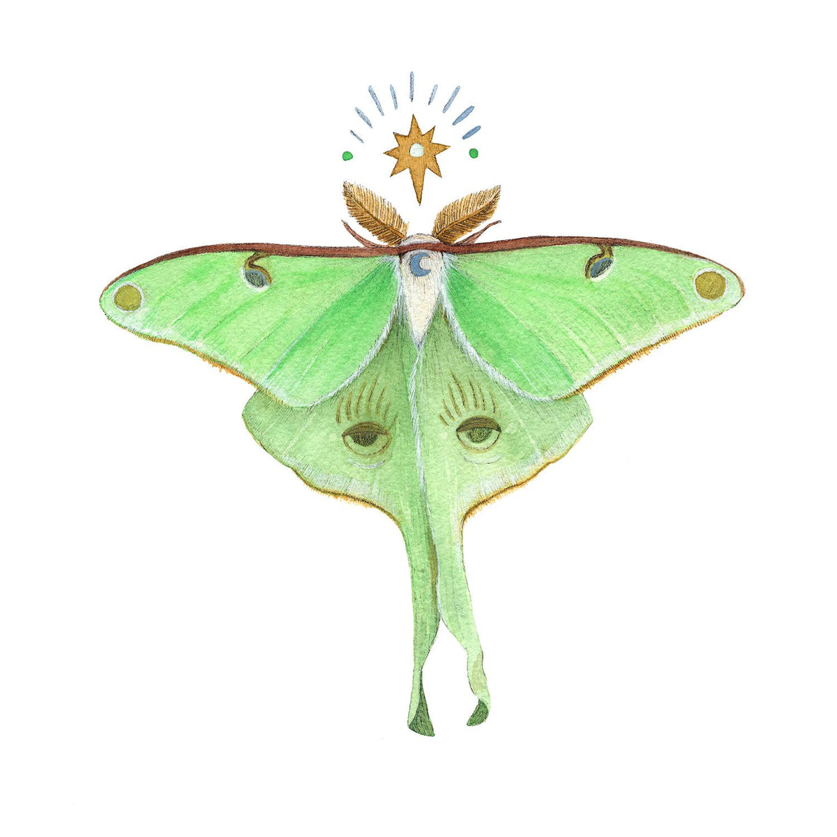 Astral Luna Moth (8&quot; x 10&quot; Print)