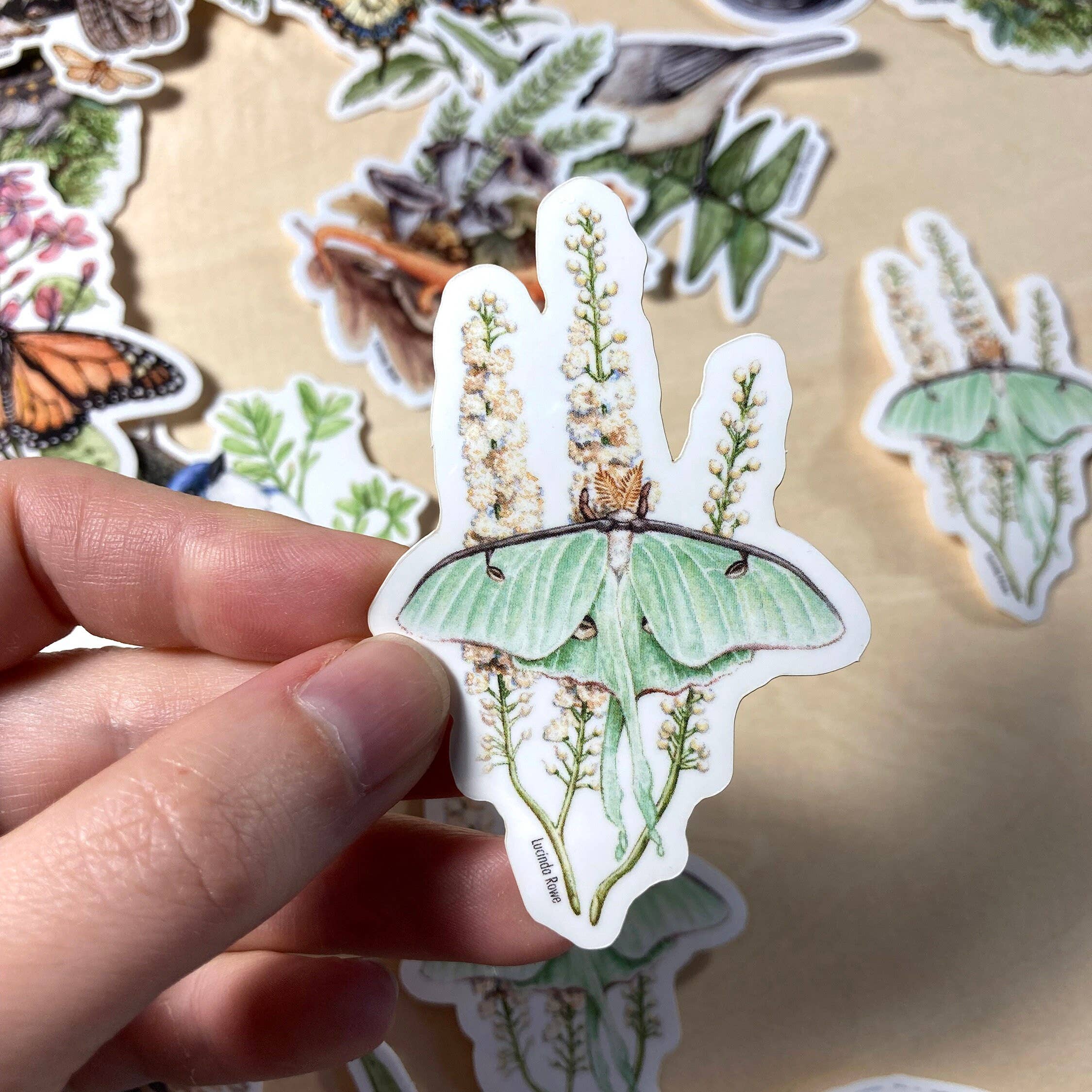 Luna Moth Vinyl Sticker