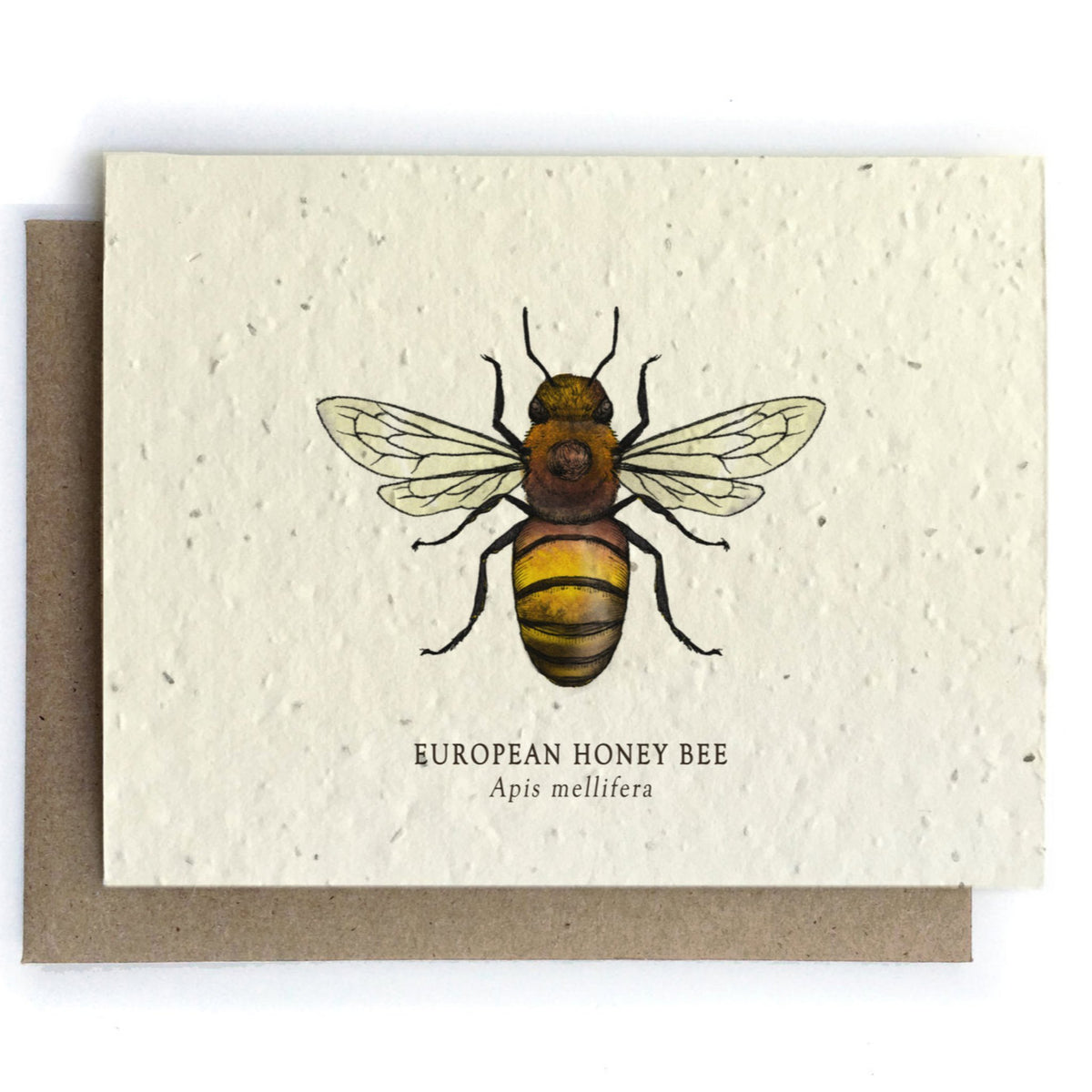 Honey Bee Plantable Wildflower Seed Card