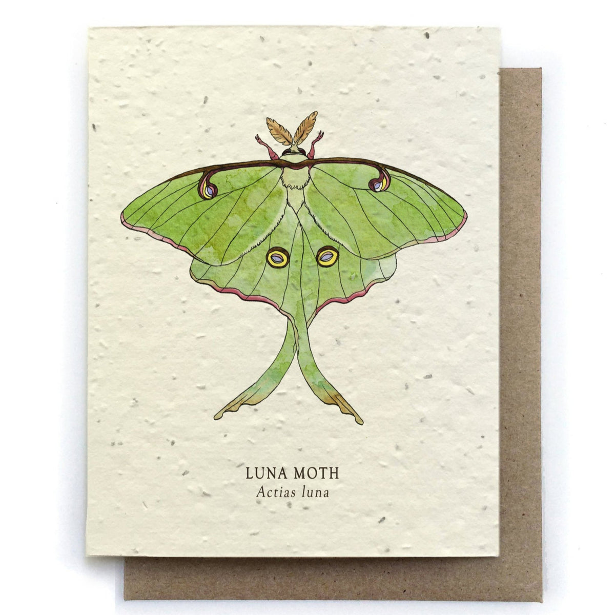 Luna Moth Plantable Wildflower Seed CArd