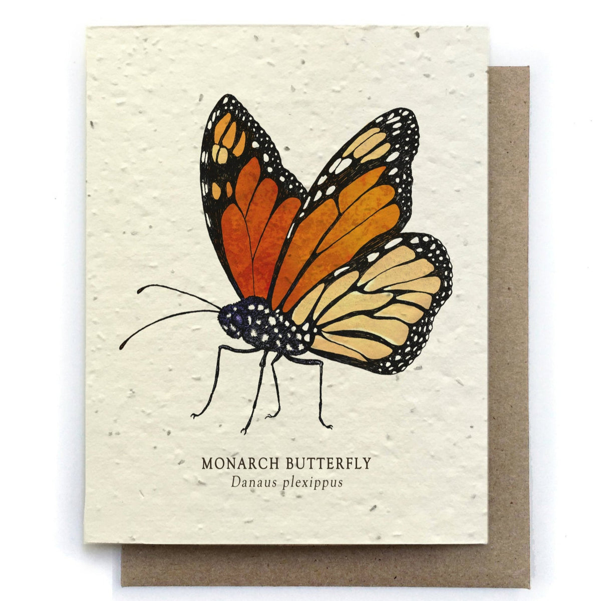 Monarch Butterfly Plantable Wildflower Seed Card