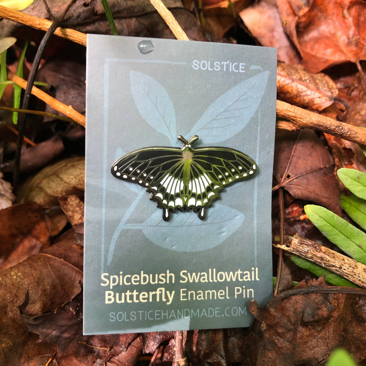 Spicebush Swallowtail Butterfly Enamel Pin