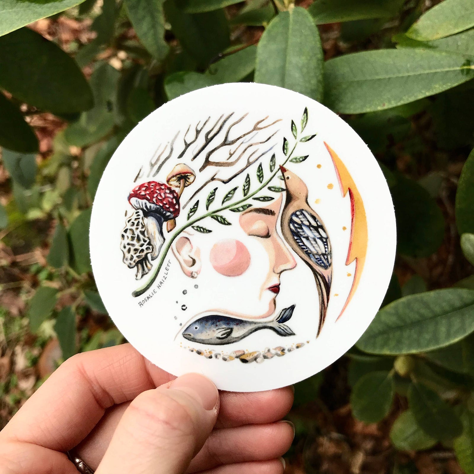 Wanderite Botanical Sticker – The Herbal Scoop